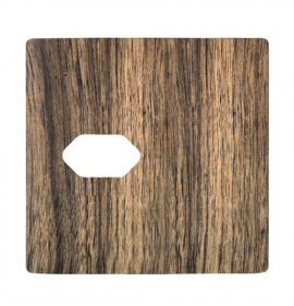 Placa p/ 1 Tomada Horizontal 4x2 - Novara Carvalho